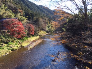 _秋の名栗川