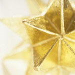 Close-up of Gold Star