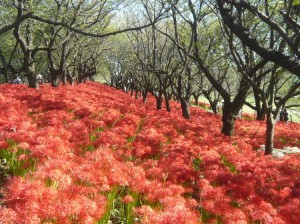 譖ｼ迴豐呵庄竭｢