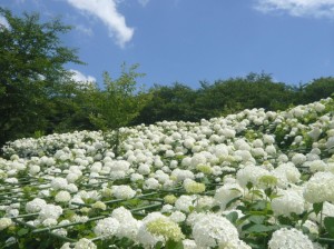 繧｢繝翫・繝ｫ